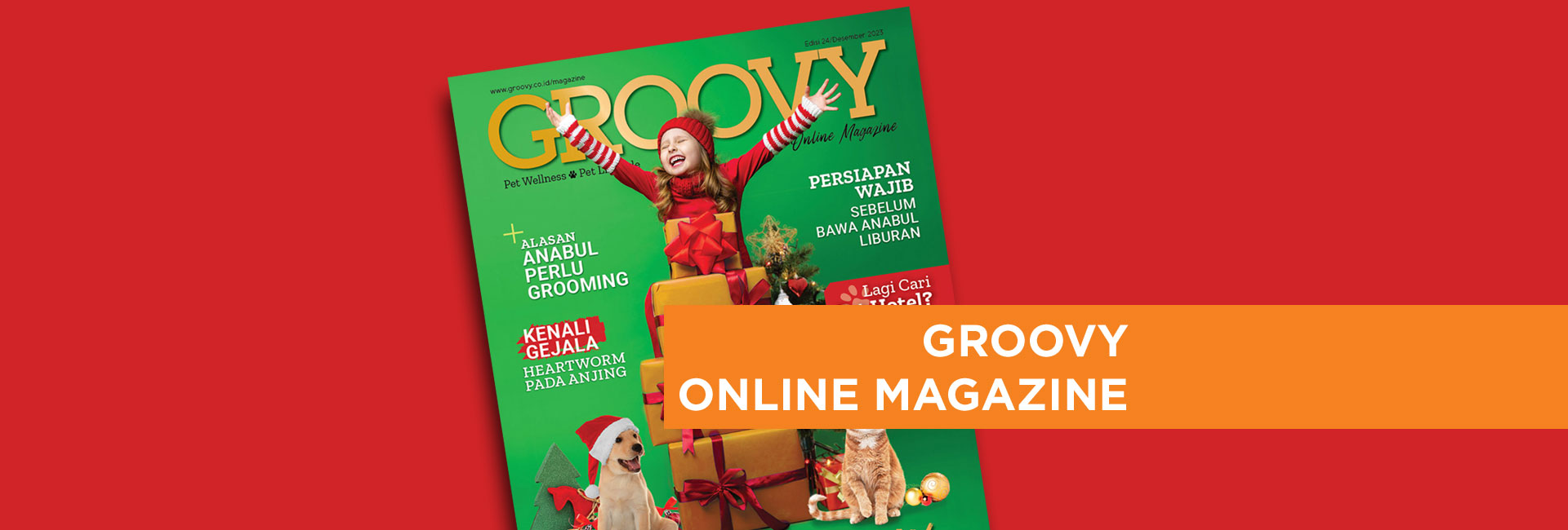 Groovy Magazine 24