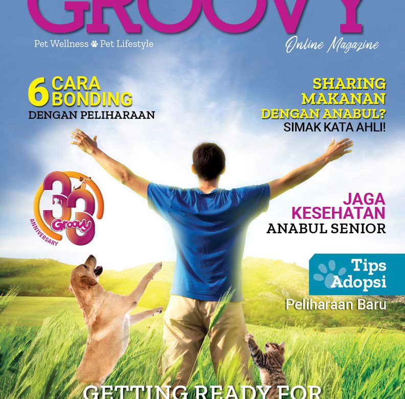 Groovy Magazine 21