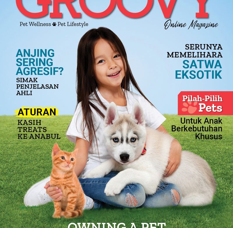 Groovy Magazine 22